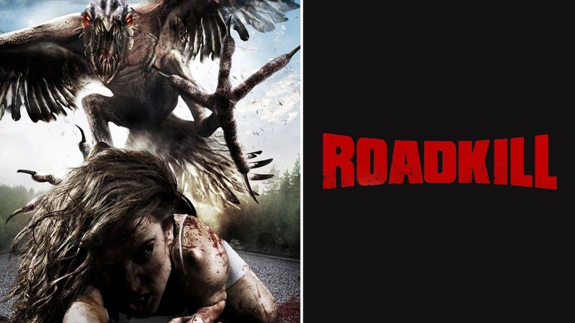 Roadkill