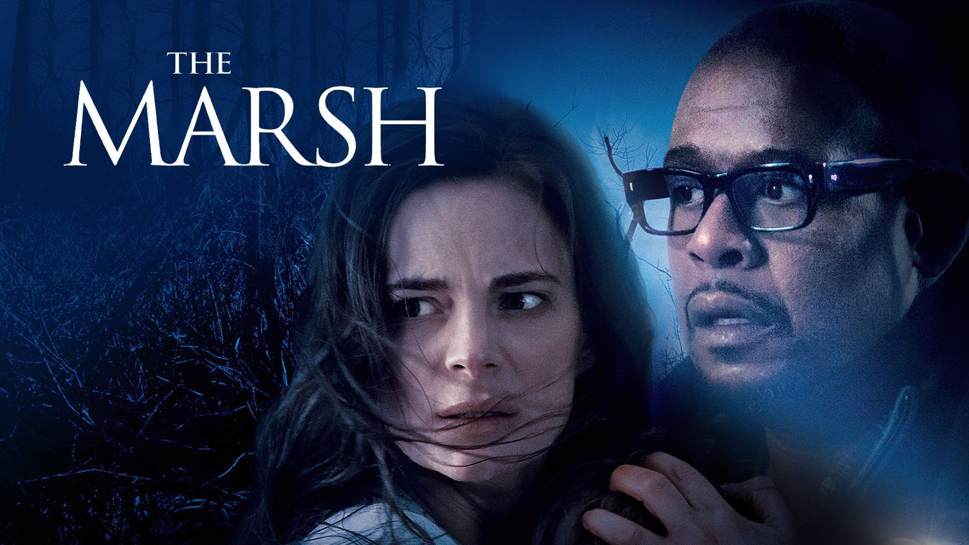 The Marsh