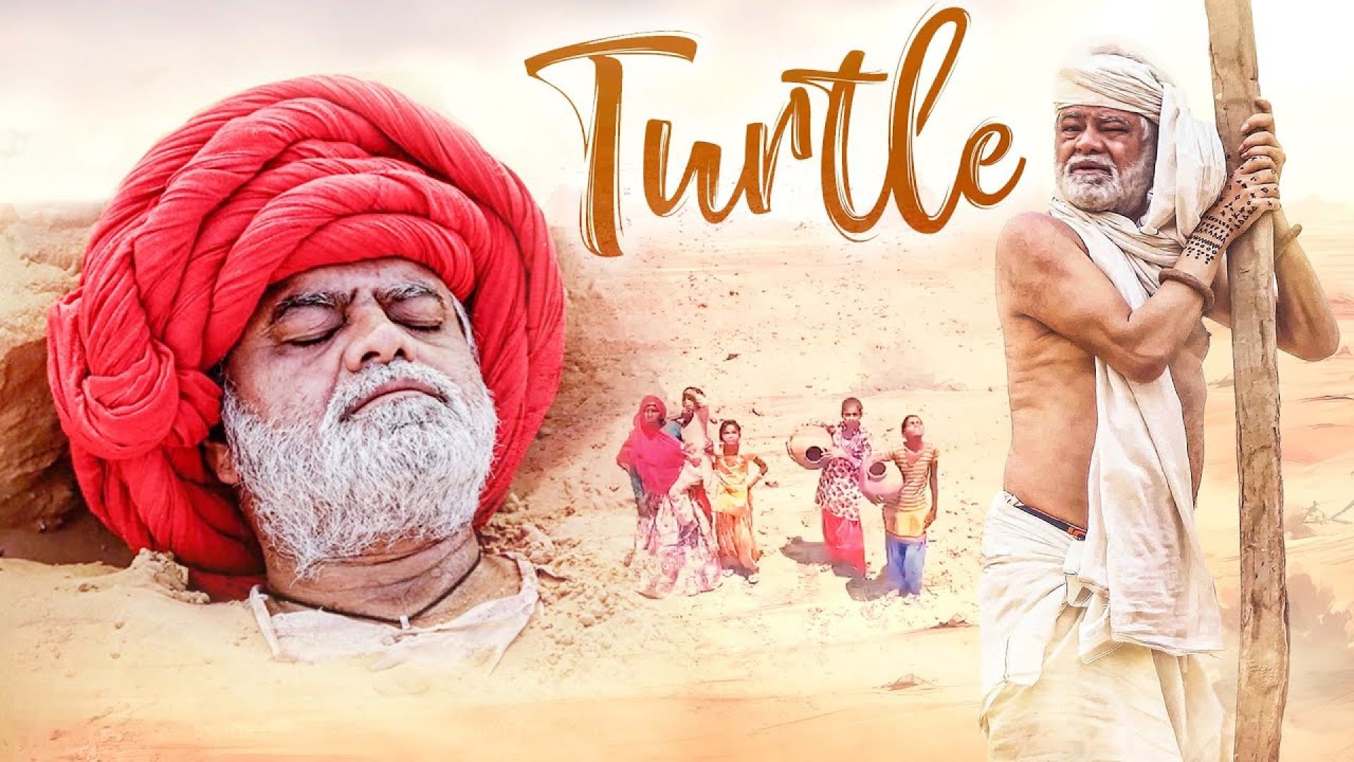 Turtle