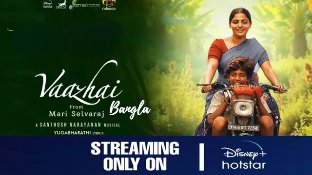 Vaazhai